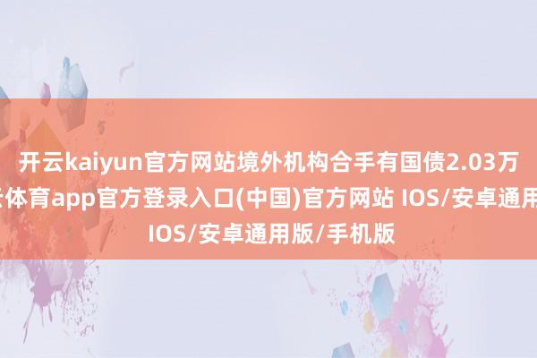 开云kaiyun官方网站境外机构合手有国债2.03万亿元-kai云体育app官方登录入口(中国)官方网站 IOS/安卓通用版/手机版